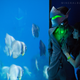 Cosplay by Sean McCoy and Bindi Smalls | Photo by Mineralblu
